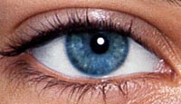 adriana lima eyes