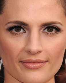 Stana Katic's Face